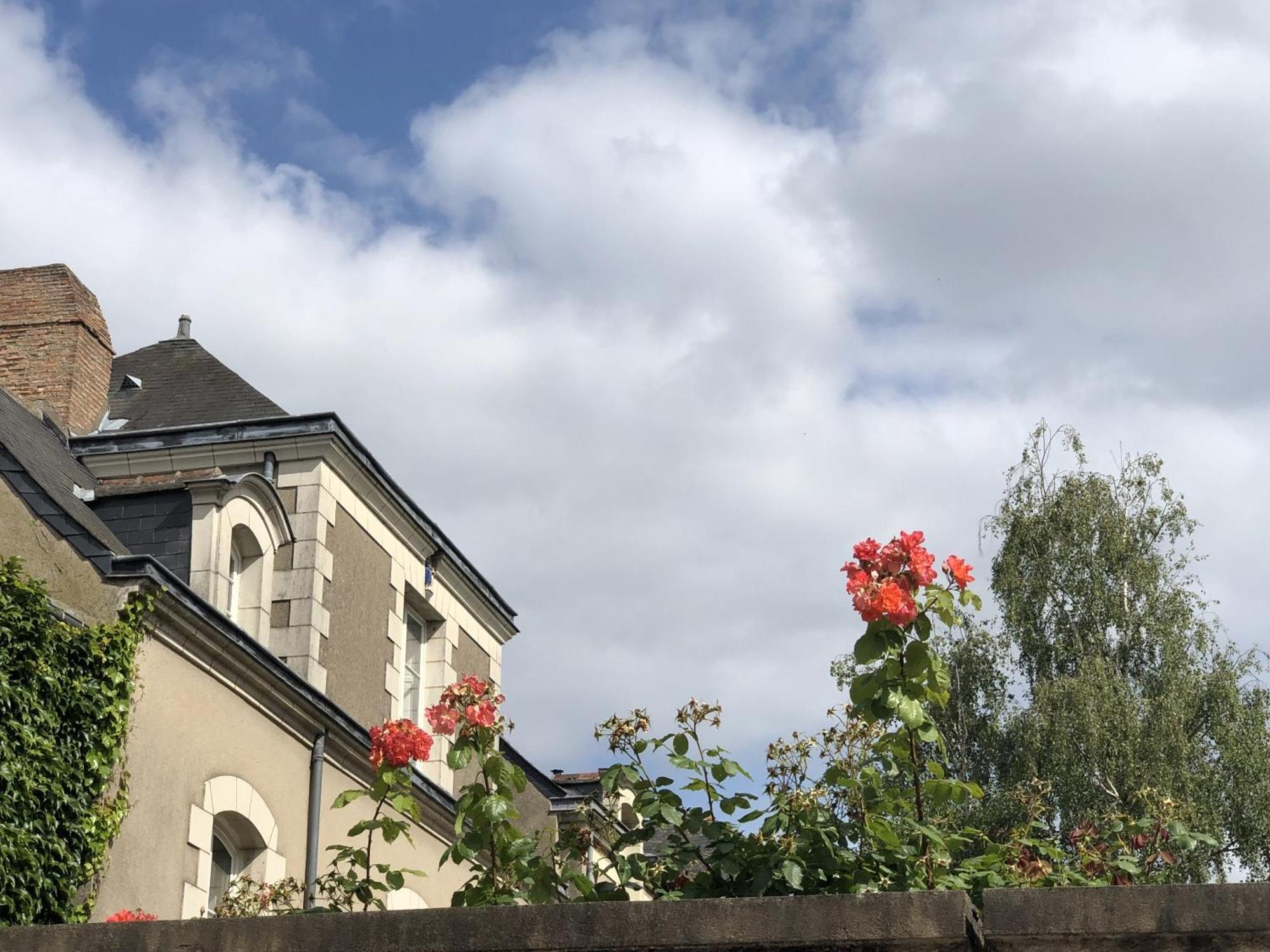 Maison Bout Du Monde Angers Hyper Centre ภายนอก รูปภาพ