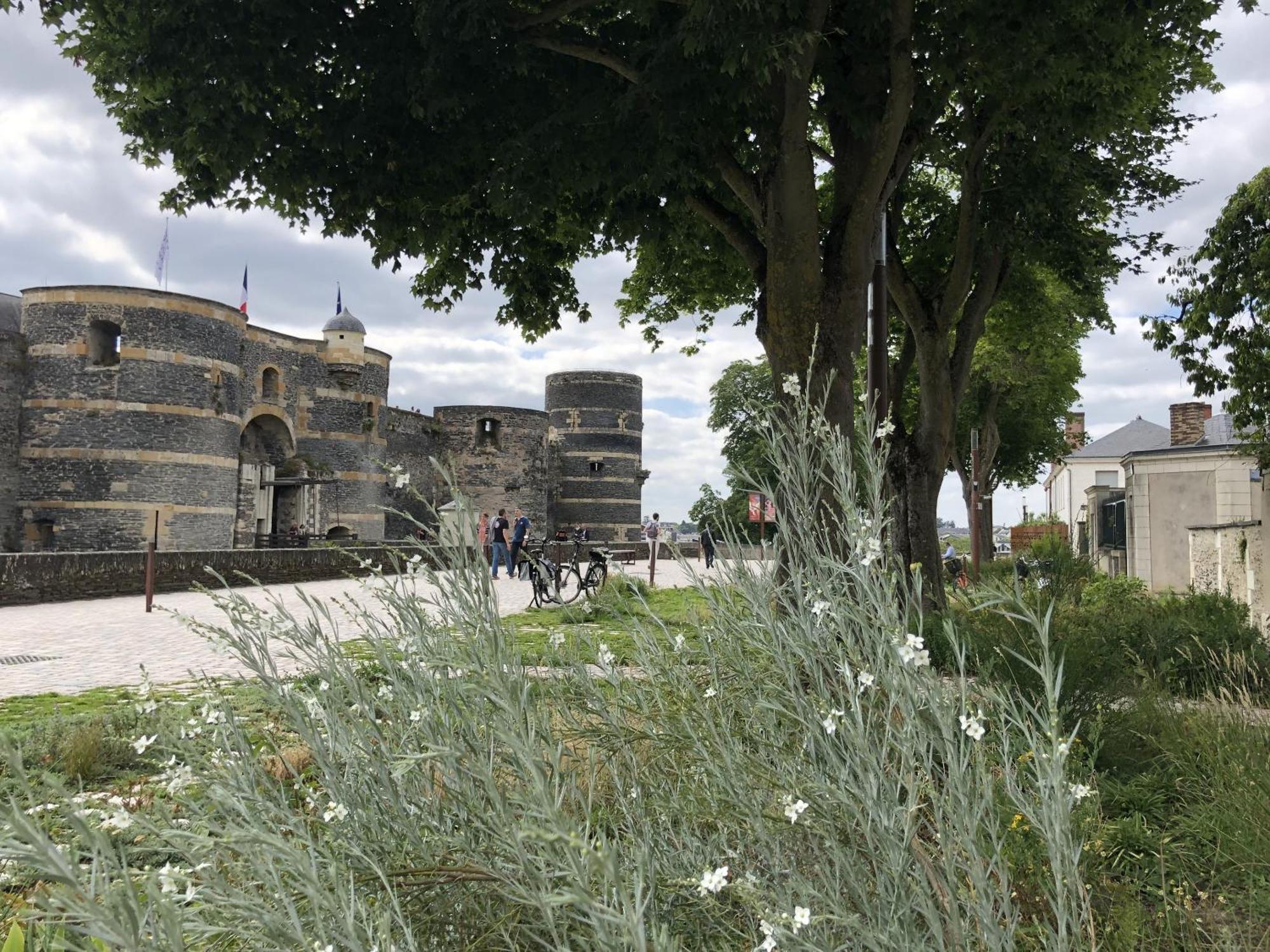 Maison Bout Du Monde Angers Hyper Centre ภายนอก รูปภาพ